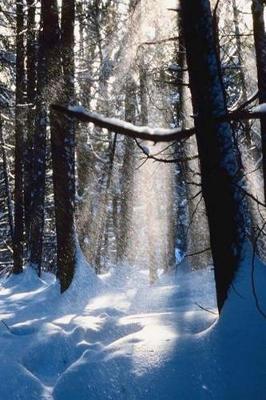 Cover of 2019 Weekly Planner Winter Theme Sun On Snow 134 Pages