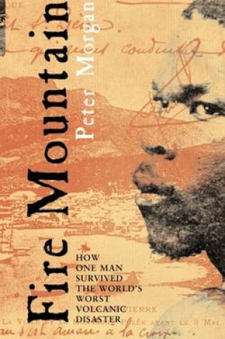 Cover of Fire Mountain