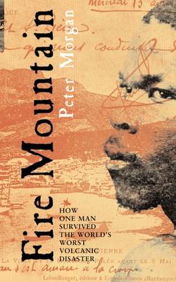 Book cover for Fire Mountain