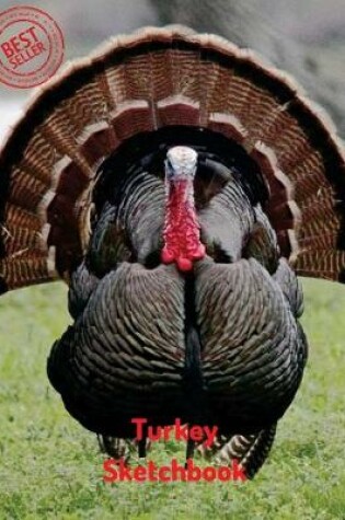 Cover of Turkey Sketchbook