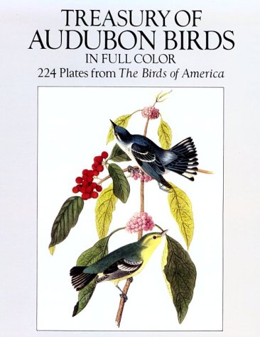 Book cover for Treasury of Audubon Birds in Full Colour