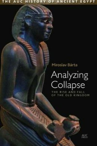 Cover of Analyzing Collapse