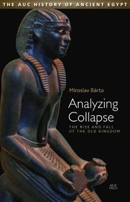 Book cover for Analyzing Collapse