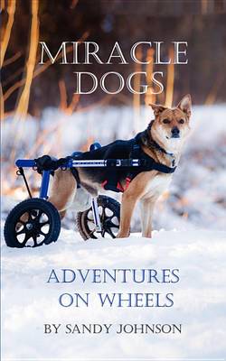 Book cover for Miracle Dogs