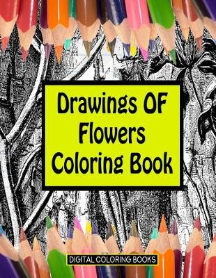 Book cover for Drawings Of Flowers Coloring Book