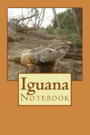 Cover of Iguana