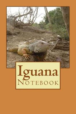 Book cover for Iguana