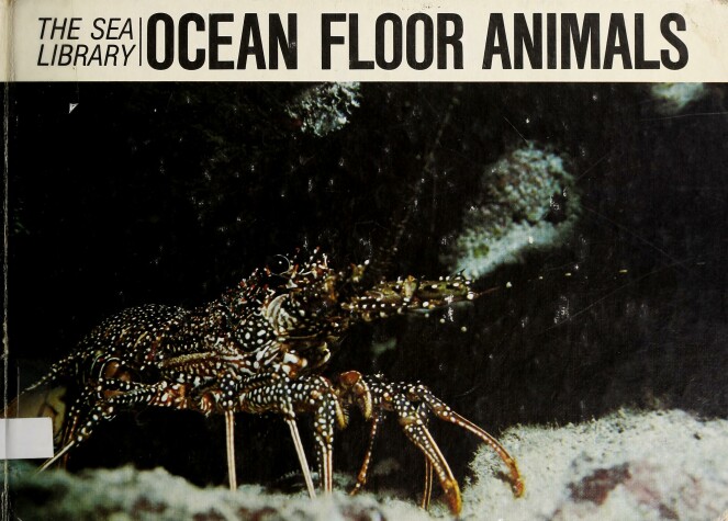 Book cover for Ocean Floor Animals