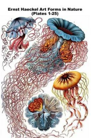 Cover of Ernst Haeckel Art Forms in Nature (Plates 1-25)