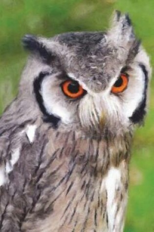 Cover of Southern White Faced Owl - Lined Notebook with Margins