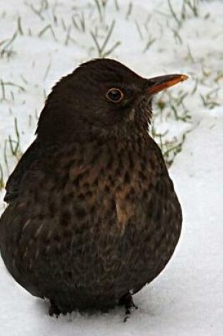 Cover of Blackbird Notebook