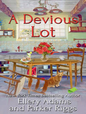 Book cover for A Devious Lot