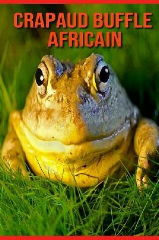 Cover of Crapaud Buffle Africain