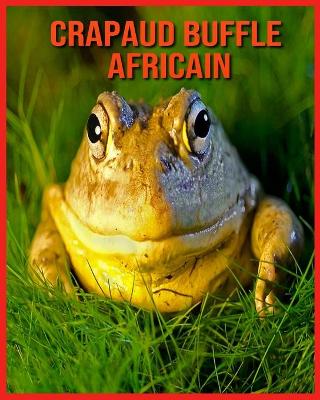 Book cover for Crapaud Buffle Africain