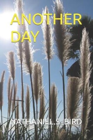 Cover of Another Day