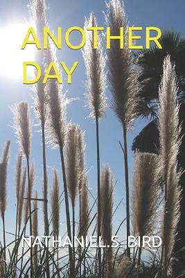 Book cover for Another Day