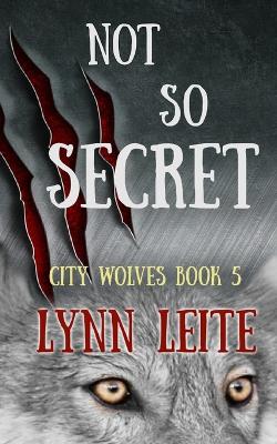 Book cover for Not So Secret