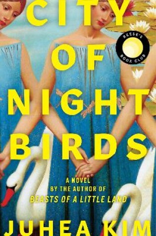 Cover of City of Night Birds