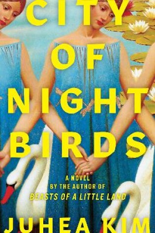 Cover of City of Night Birds