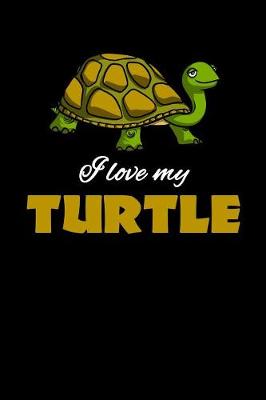 Book cover for I Love My Turtle