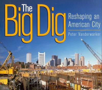 Book cover for The Big Dig