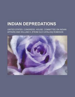 Book cover for Indian Depredations