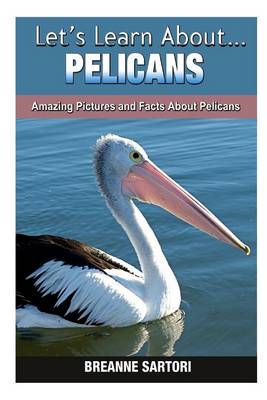 Book cover for Pelicans