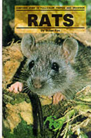 Cover of Rats