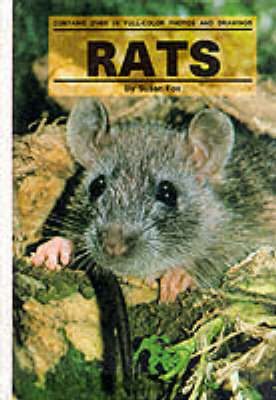 Book cover for Rats