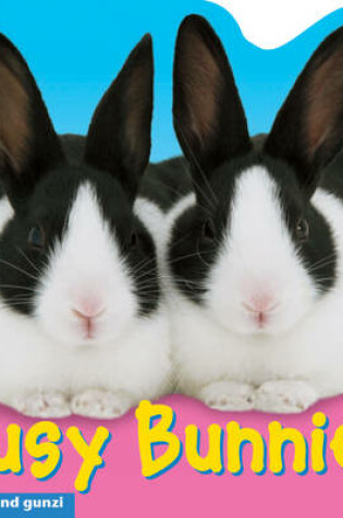 Cover of Busy Bunnies