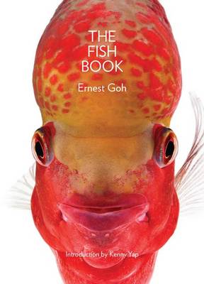 Book cover for The Fish Book