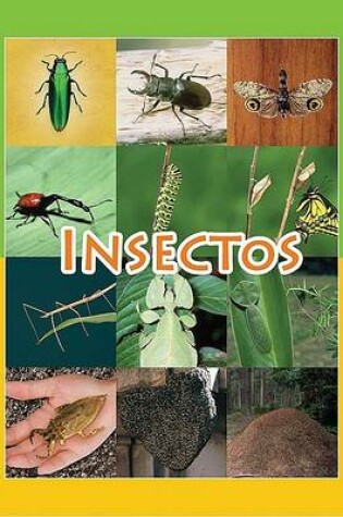 Cover of Insectos