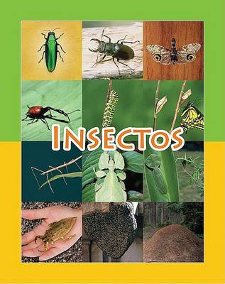 Book cover for Insectos