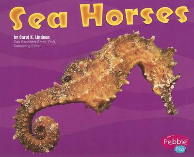 Cover of Sea Horses