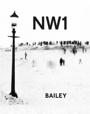 Book cover for NW1