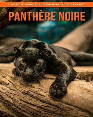 Book cover for Panthère Noire