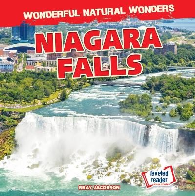 Cover of Niagara Falls