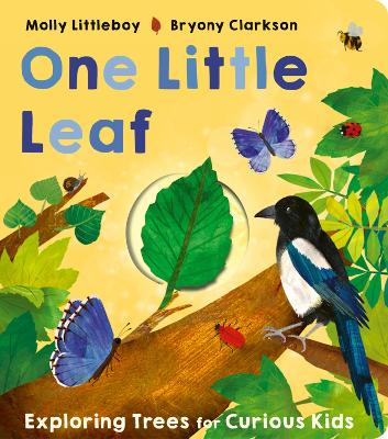 Cover of One Little Leaf