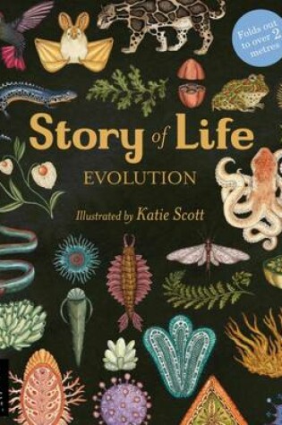 Cover of Story of Life: Evolution