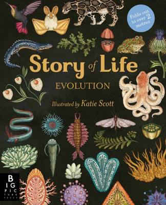 Book cover for Story of Life: Evolution