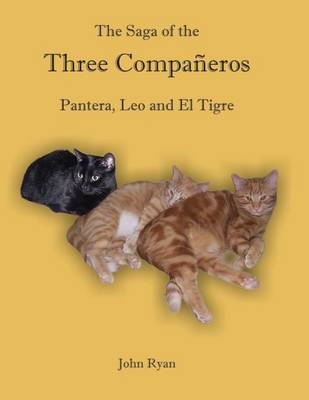 Book cover for The Saga of the Three Companeros Pantera, Leo and El Tigre