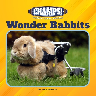 Book cover for Wonder Rabbits