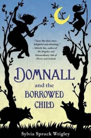 Cover of Domnall and the Borrowed Child
