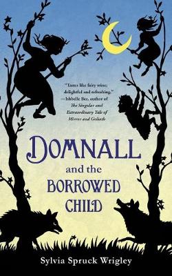 Book cover for Domnall and the Borrowed Child