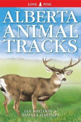 Cover of Alberta Animal Tracks