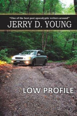 Cover of Low Profile