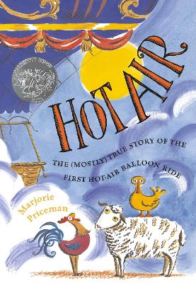 Book cover for Hot Air