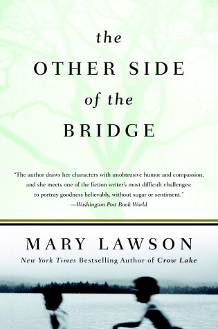 Cover of The Other Side of the Bridge