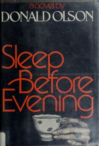 Book cover for Sleep Before Evening
