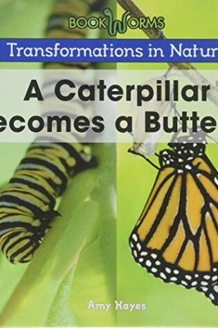 Cover of A Caterpillar Becomes a Butterfly